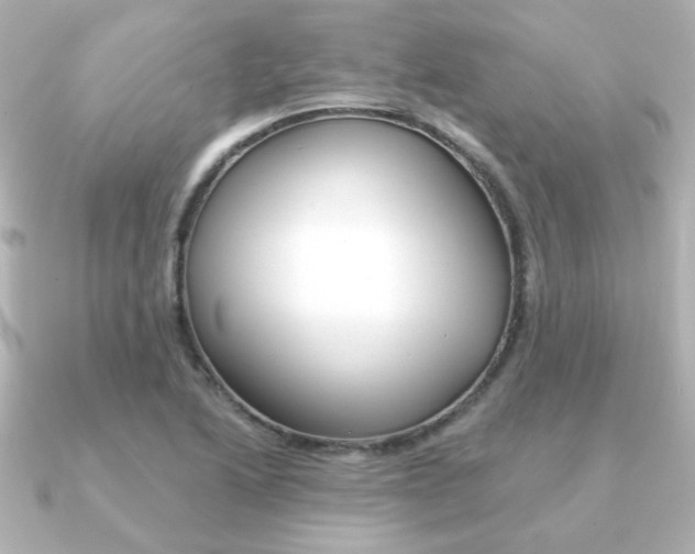 X0000091371222200708101109