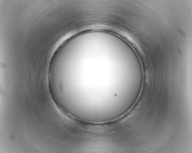 X0000091371229200708101109