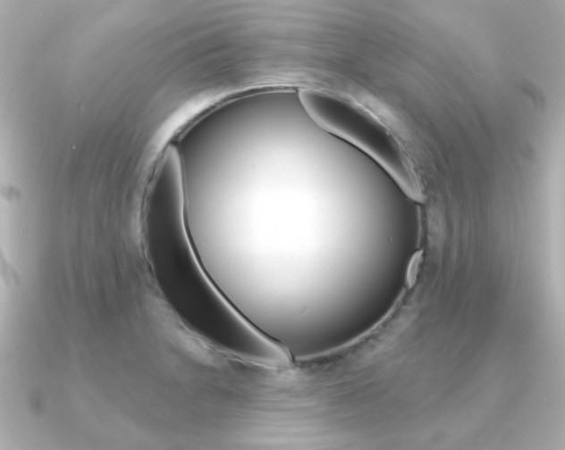 X0000091371230200708101109