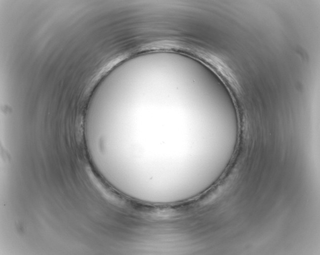 X0000091371233200708101109