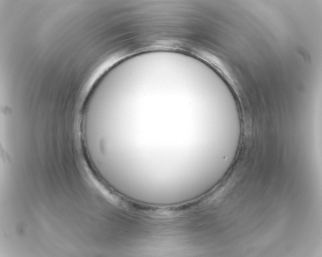 X0000091371235200708101109