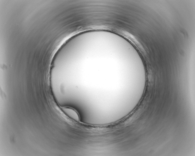 X0000091371236200708101109