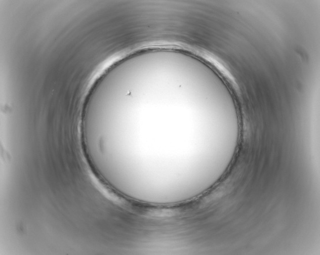 X0000091371237200708101109