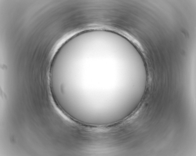 X0000091371239200708101109