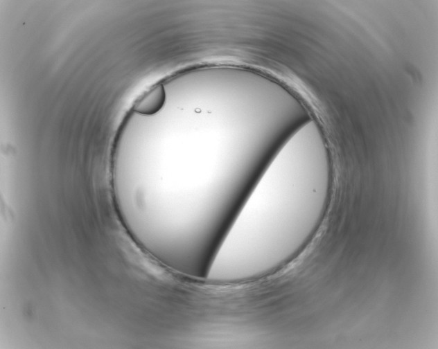 X0000091371240200708101109