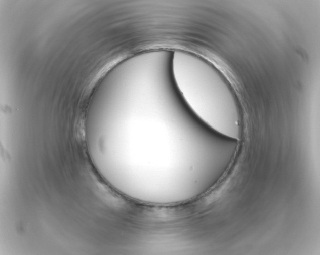 X0000091371241200708101109