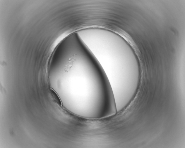 X0000091371242200708101109