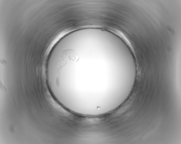 X0000091371243200708101109
