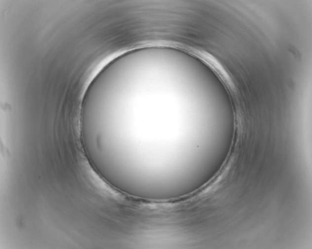 X0000091371244200708101109
