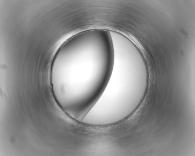 X0000091371246200708101109