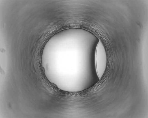X0000091371249200708101108