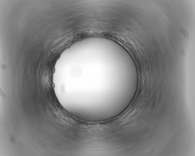 X0000091371250200708101108