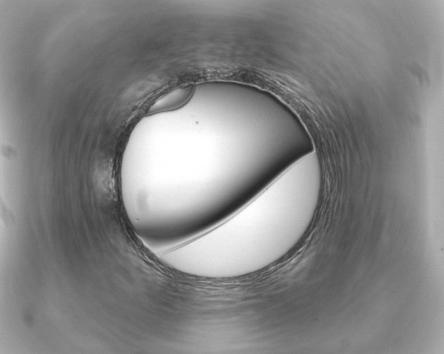 X0000091371252200708101108