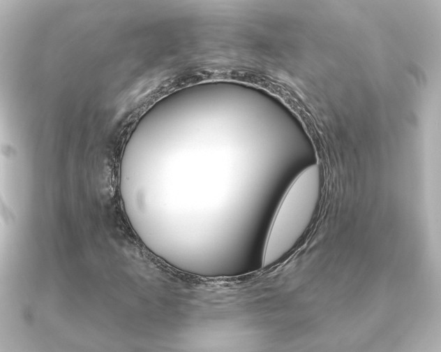 X0000091371253200708101108