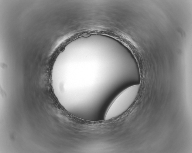 X0000091371256200708101108