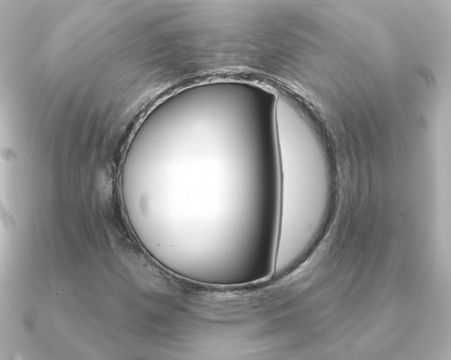 X0000091371257200708101108