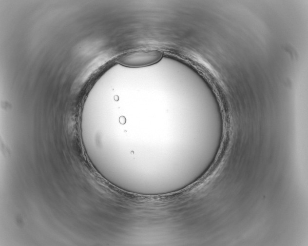 X0000091371259200708101108