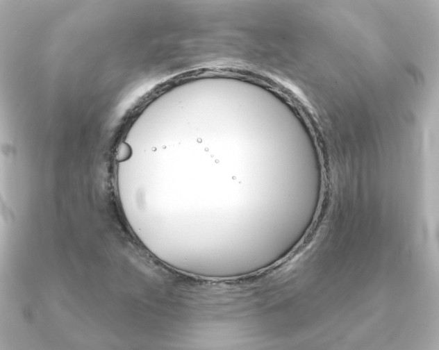 X0000091371263200708101108