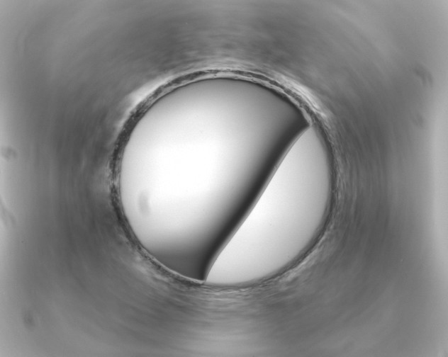 X0000091371264200708101108