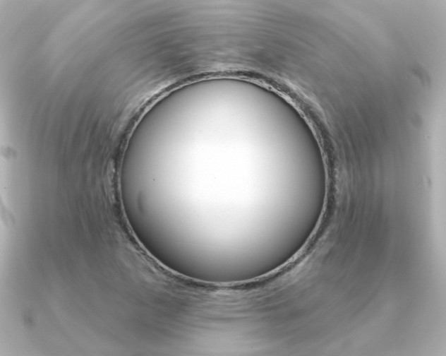 X0000091371265200708101108