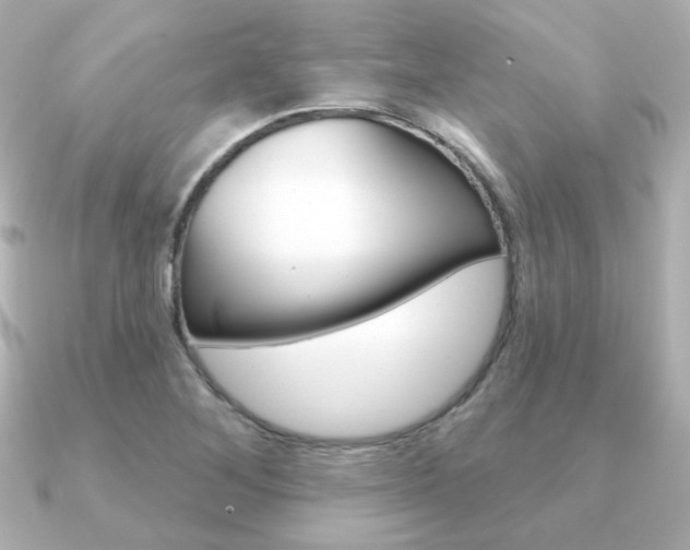 X0000091371268200708101108