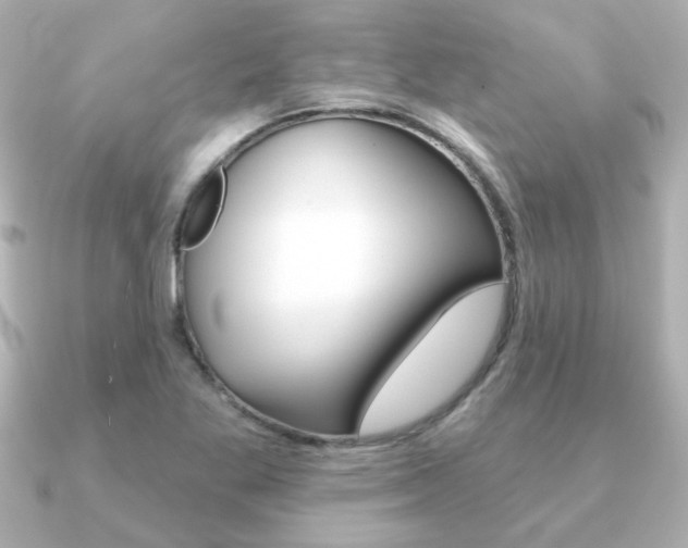 X0000091371269200708101108