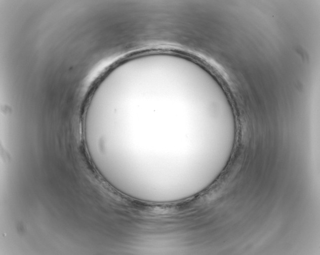 X0000091371271200708101108