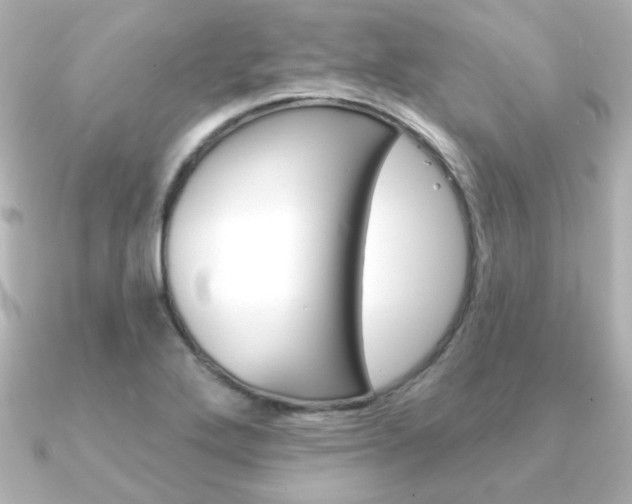 X0000091371272200708101108