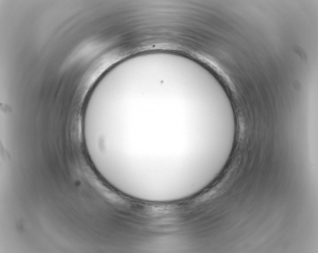 X0000091371274200708101108
