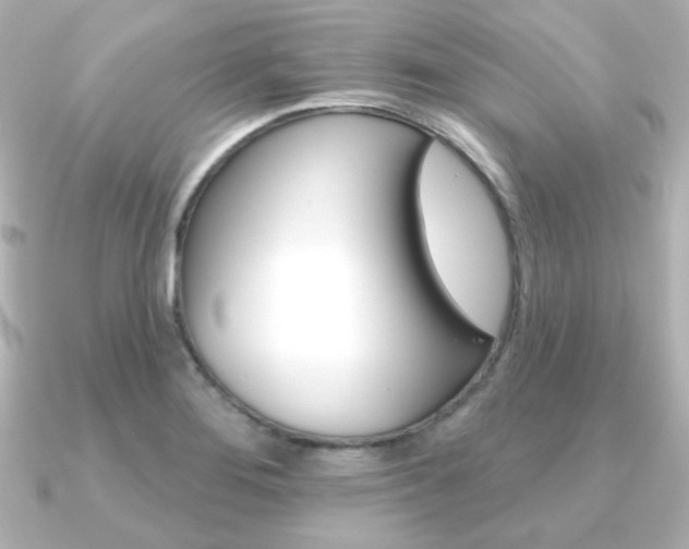 X0000091371276200708101108
