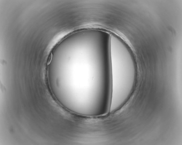 X0000091371277200708101108