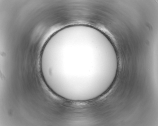 X0000091371278200708101108
