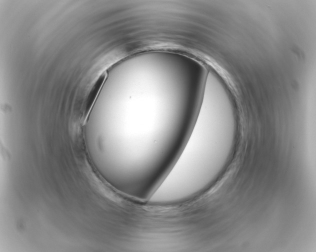 X0000091371281200708101108