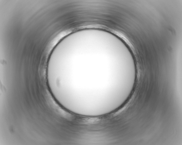 X0000091371282200708101108