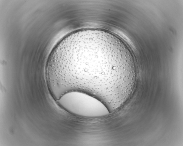 X0000091371283200708101108