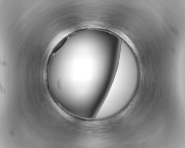 X0000091371285200708101108