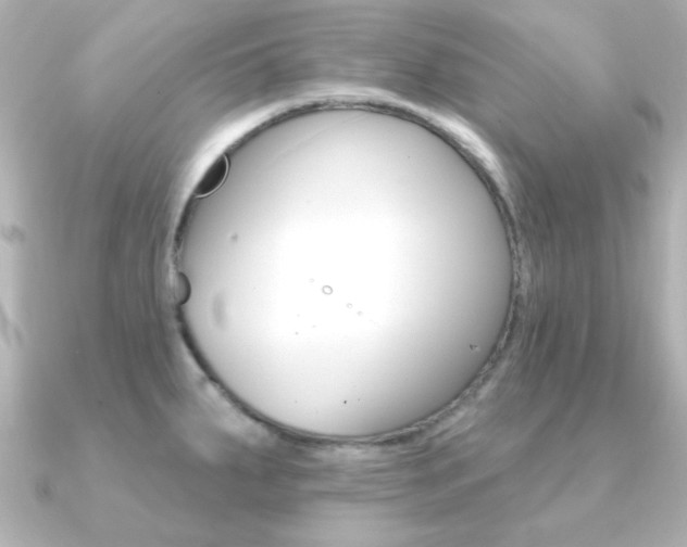 X0000091371287200708101108
