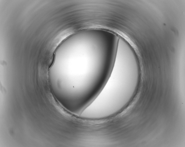 X0000091371289200708101108