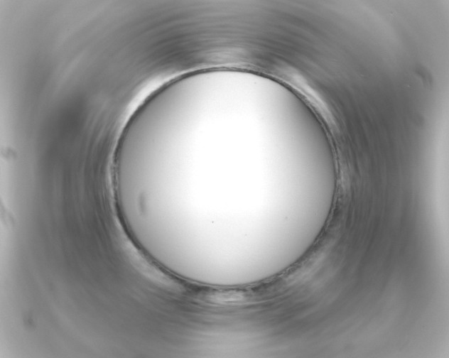 X0000091371291200708101108