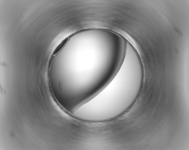 X0000091371293200708101108