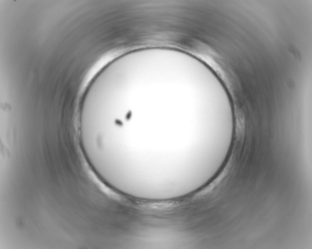 X0000091371294200708101108