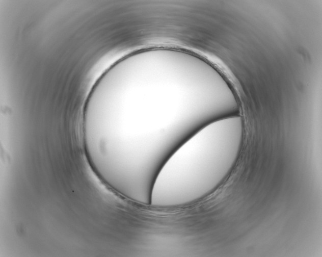 X0000091371295200708101108