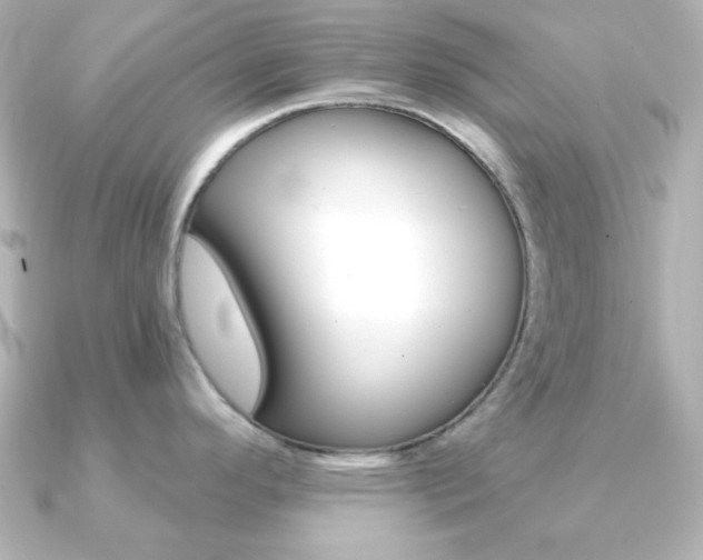X0000091371296200708101108