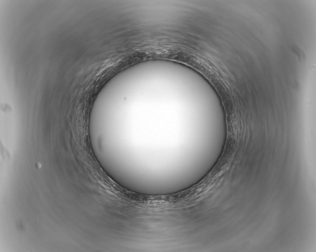 X0000091371297200708101107