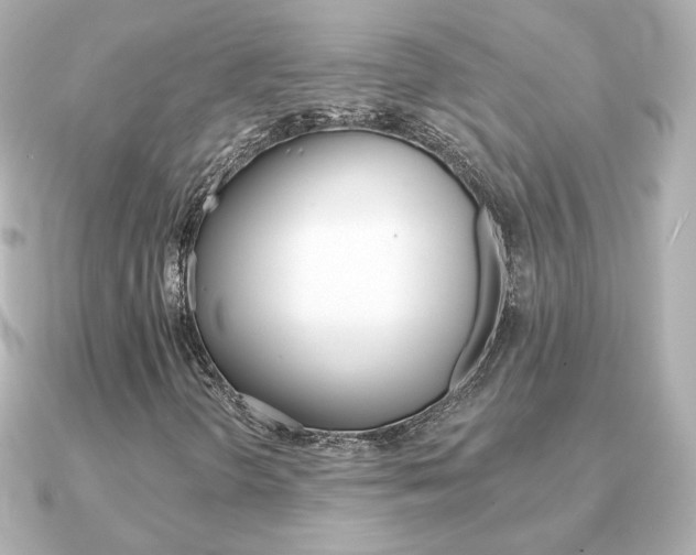 X0000091371298200708101107