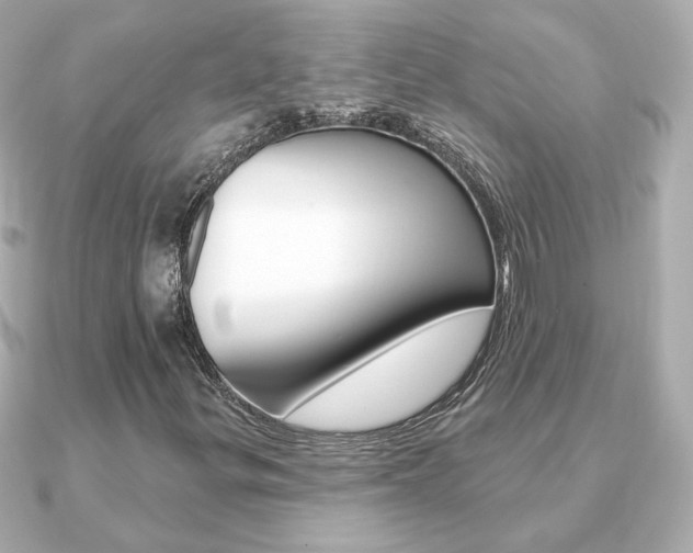 X0000091371299200708101107