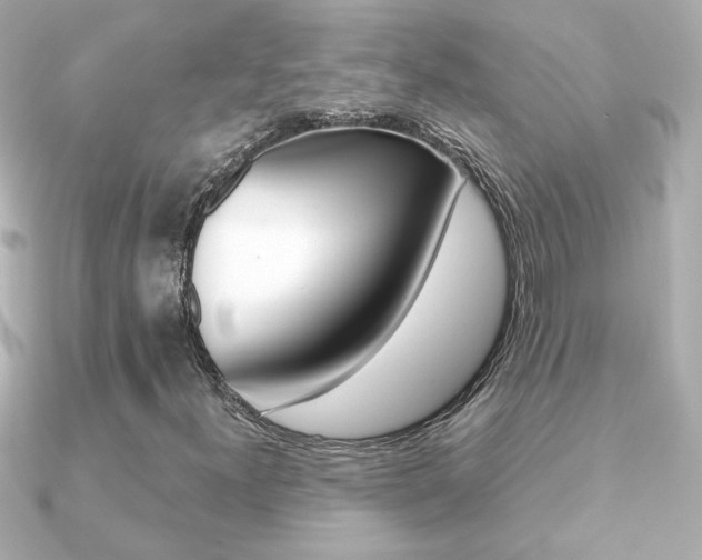X0000091371300200708101107