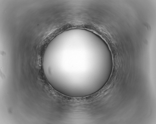 X0000091371301200708101107