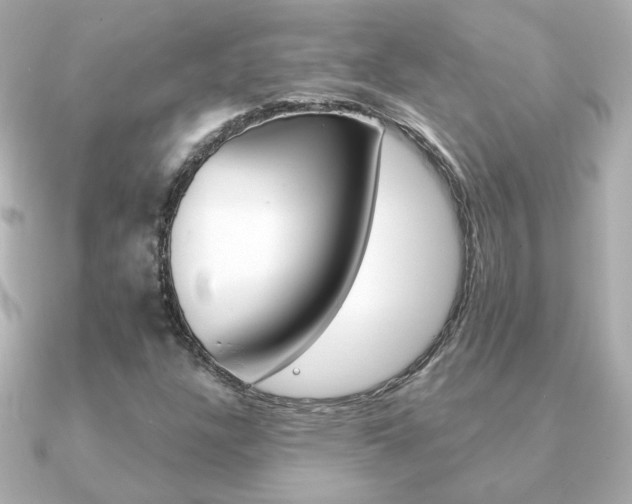 X0000091371304200708101107
