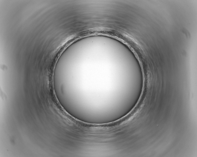 X0000091371305200708101107